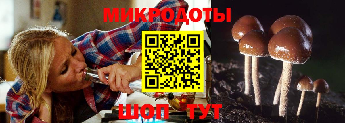 купить  сайты  Галлюциногенные грибы Psilocybine cubensis  Вход с VPN  Кызыл 